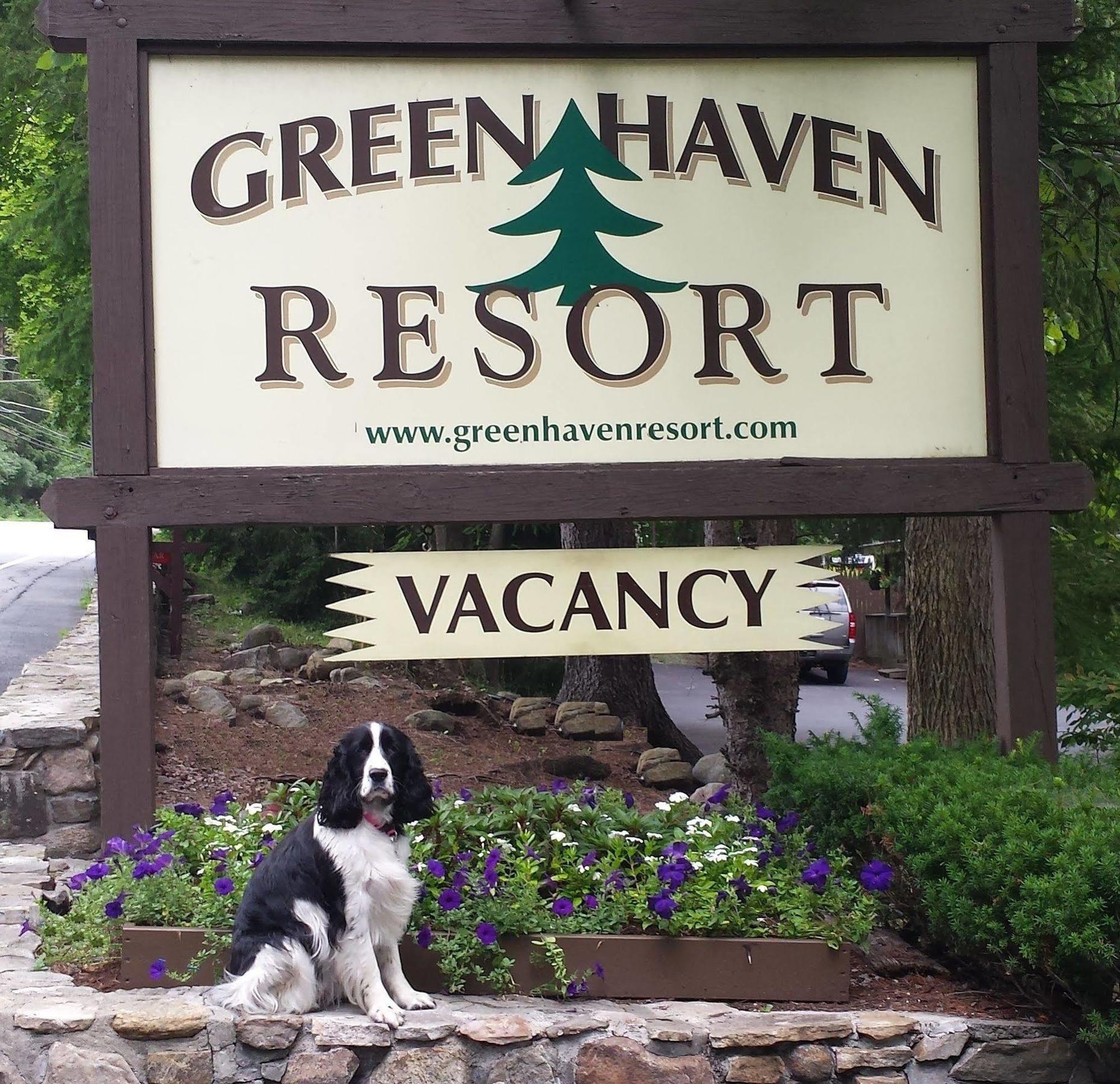 Green Haven Resort Lake George Eksteriør billede